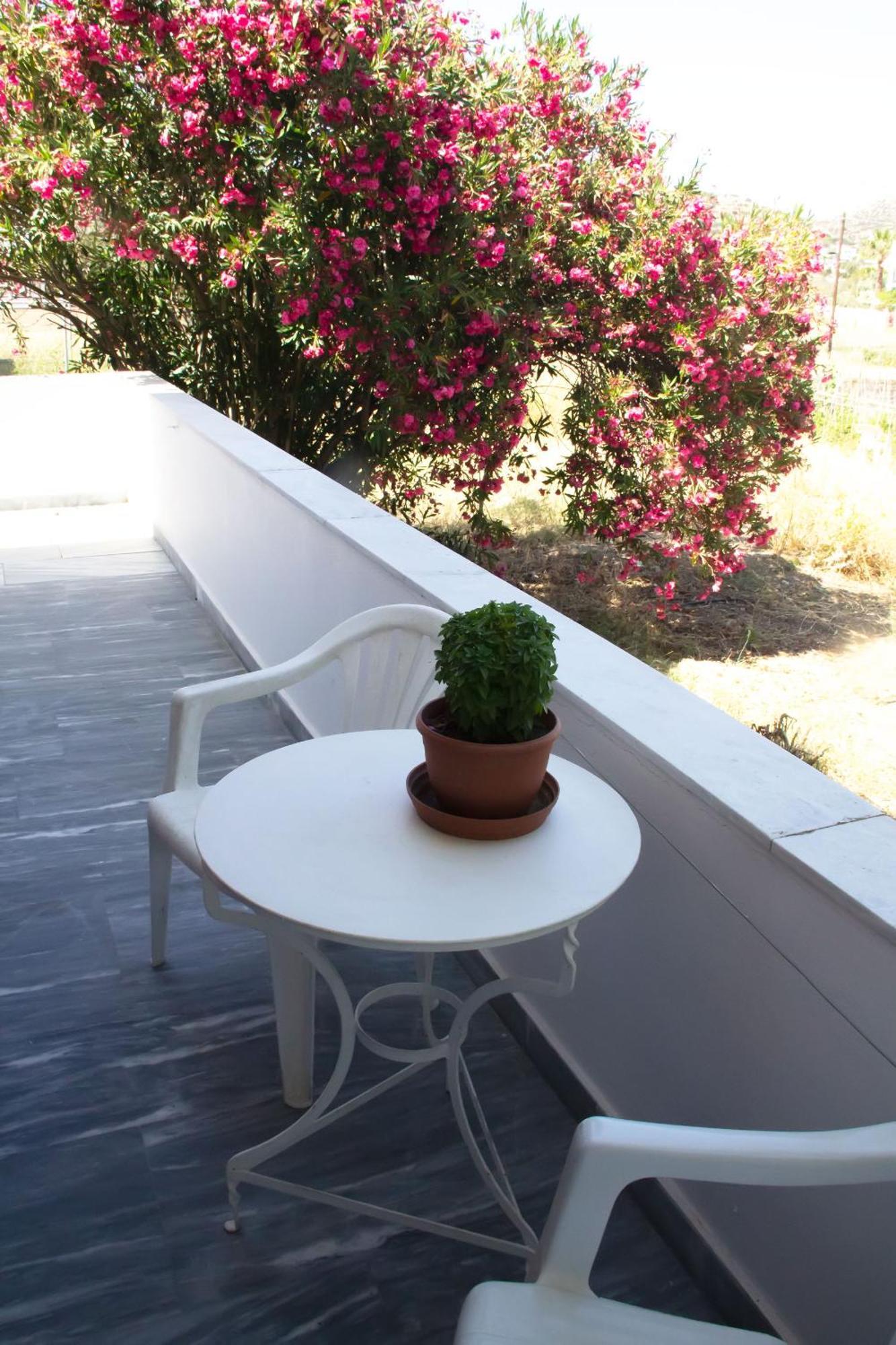 Ferienwohnung Aristidis Galissas Exterior foto